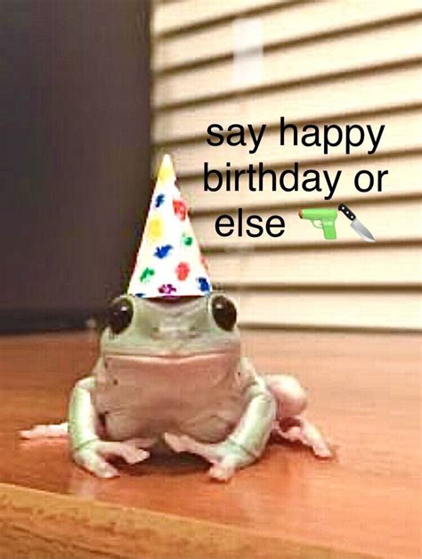 say happy birthday to the frog or else | Happy birthday frog, Funny ...