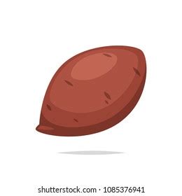 Roasted Sweet Potato Roasted Sweet Potato Stock Vector (Royalty Free ...