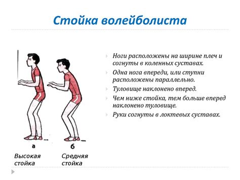 Основные правила игры в волейбол - презентация онлайн