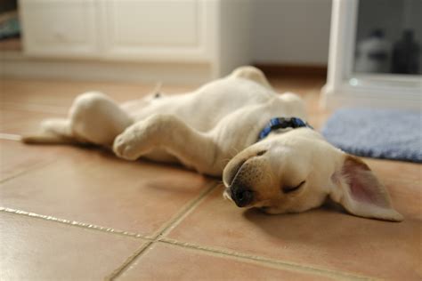 Being Lazy Might Actually Be Better For Your Health - Thrive Global