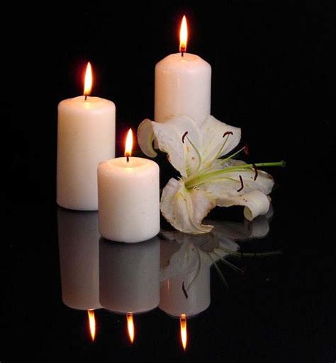 Белые свечи на черном фоне Shell Candles, Bath Candles, Pillar Candles ...