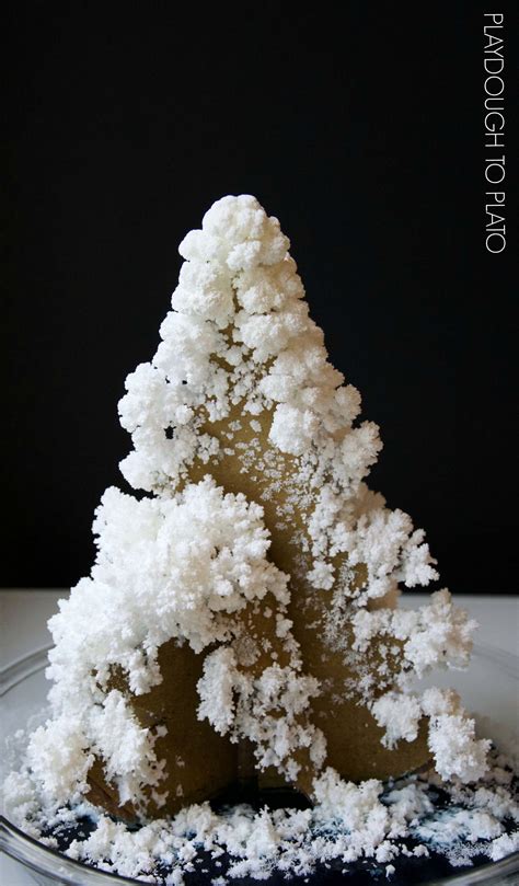 Growing a Crystal Tree - Playdough To Plato