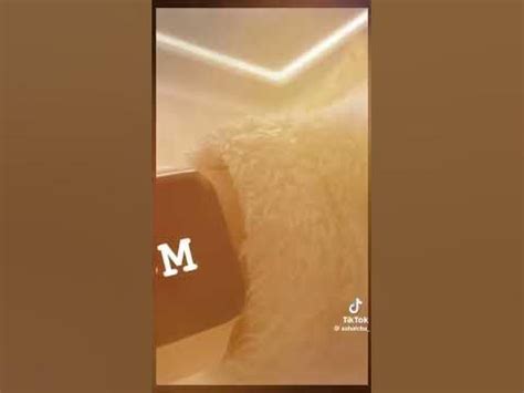 мизе - YouTube