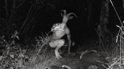Goatman: A lenda do homem-bode que assombra os Estados Unidos ...