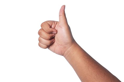 person's hand showing thumbs up, concept showing good appreciation, and