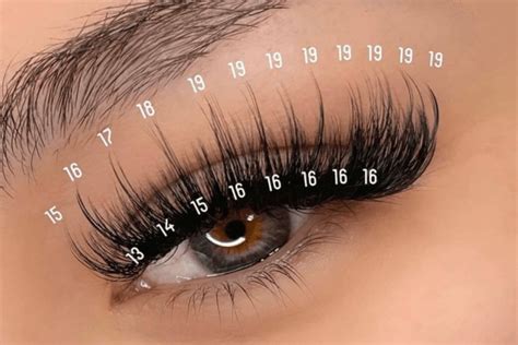 wispy lash extensions