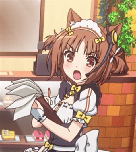 Azuki by Sayori [Source: Nekopara Extra] : r/NEKOPARAGAME