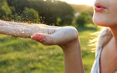 beautiful wisdom quotes stories