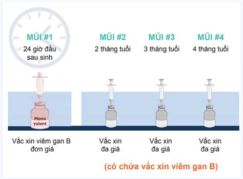 Điều trị viêm gan B #6 cách hiệu quả nhất theo Tây y và Đông y!