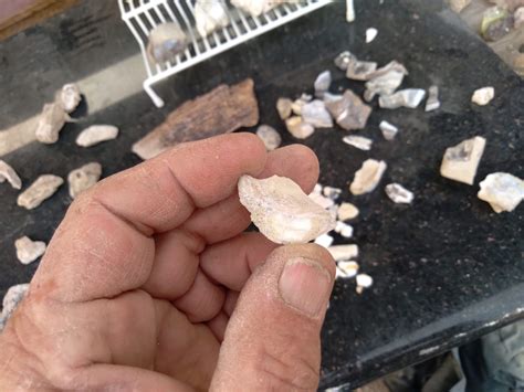 Swordfish Mining Virgin Valley Opal – Gemstones, specimens, specials