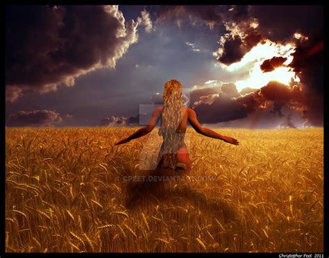 amber fieldsjpg  cpeet  deviantart