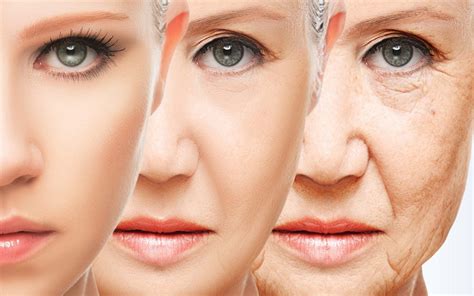 Why Do We Age?