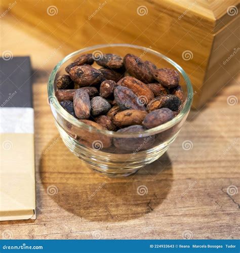 Cocoa beans and chocolate stock image. Image of ingredients - 224933643