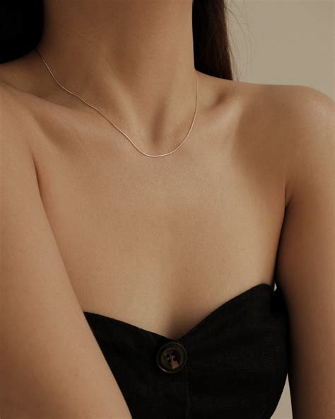 Bailey Mini Snake Chain Choker Necklace - MYJN