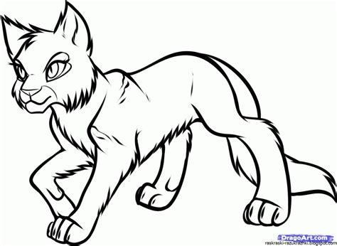 Коты Воители Раскраски