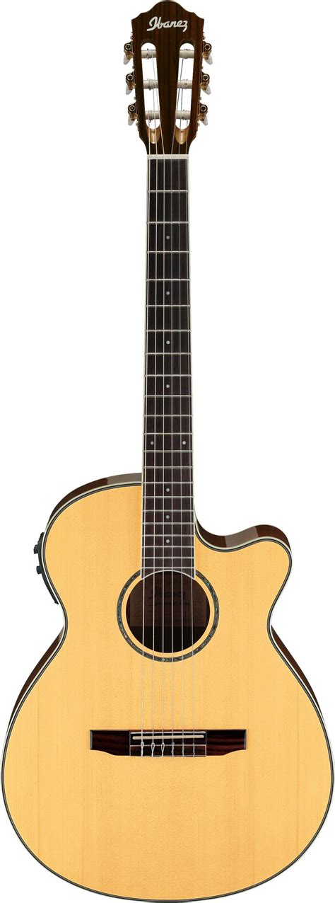 IBANEZ AEG10NII-NT - купить Гитары электроакустические в DMS