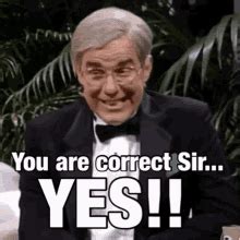 You Are Correct Sir GIFs | Tenor