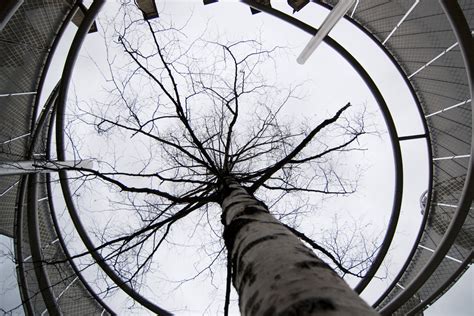 Abstract - Murray Park Photography