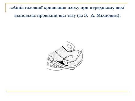 Жіночий таз. Плід як об'єкт родів. Акушерська термінологія ...