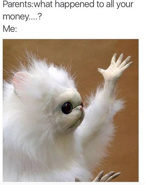 funny memes     day part