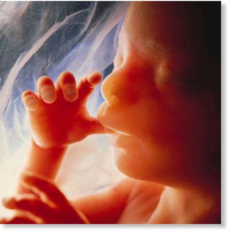 moderate stress good  foetus study health wellness sottnet