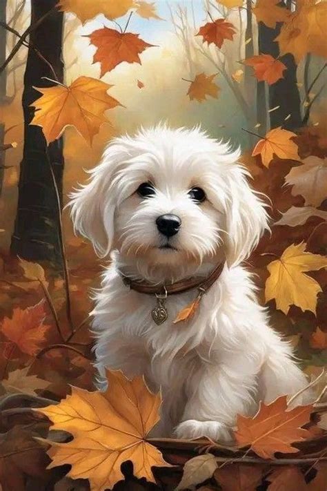 animalute DRAGI | Cute cats and dogs, Diy dog stuff, Cute dogs