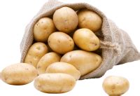 Картошка PNG