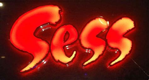 Taner Turgu: SESS