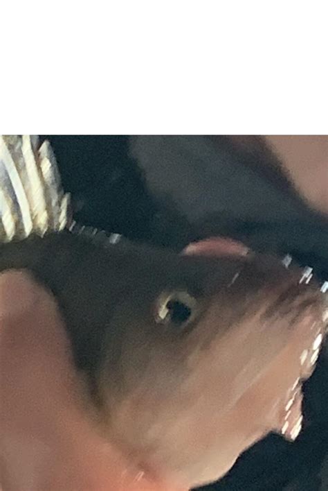 original meme format rmemeformats