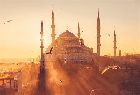 Der Zitronenduft von Türkiye: Wūlóng Chá & Wūlóng Chá X von Nishane ...
