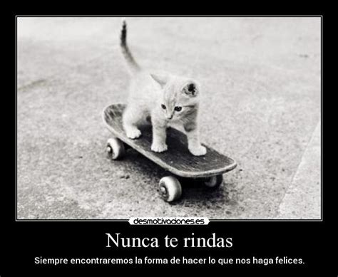 Nunca te rindas | Desmotivaciones