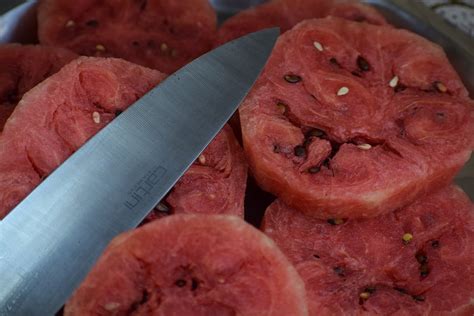 Watermelon Fruit Food - Free photo on Pixabay - Pixabay