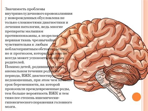 Мозг человека картинки для детей 11 фото
