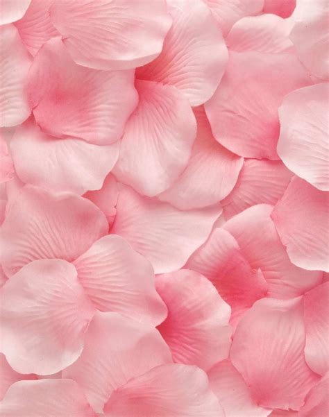 Organic Rose