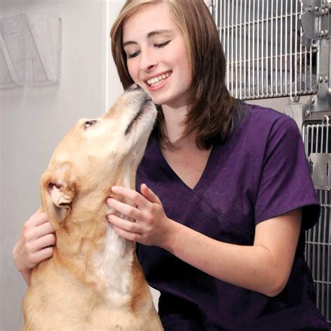 Professional Pet Boarding Certification Level 2 – Professional Pet