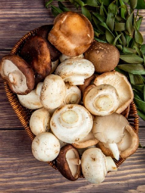 health benefits  mushroom    healthshots