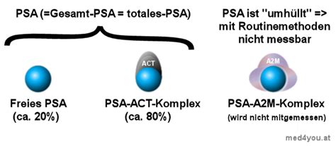 Prostata-spezifisches Antigen als Laborwert