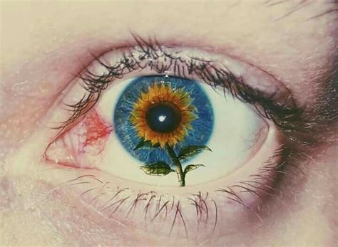 Girasol en 2019 | Foto arte, Arte y Arte surrealista