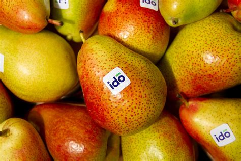 idō :: Behance