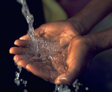 bright nepenthe water