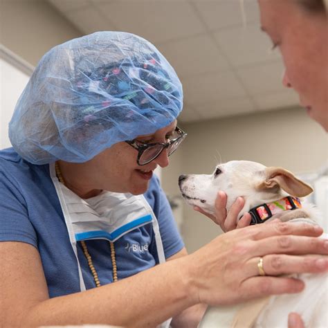 BluePearl Pet Hospital | Conshohocken, PA