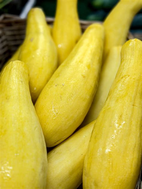 yellow squash how to prepare 10