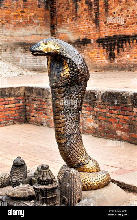 view   bronze statues   mythical shesh nag guard   temple