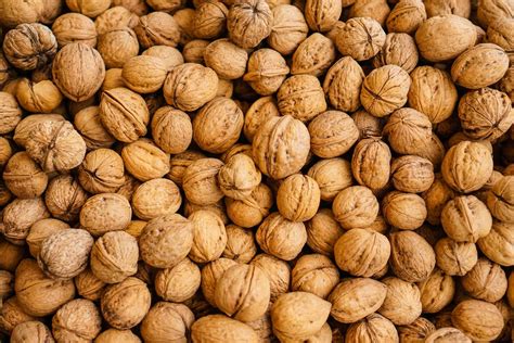 18 Facts About Walnut - Facts.net