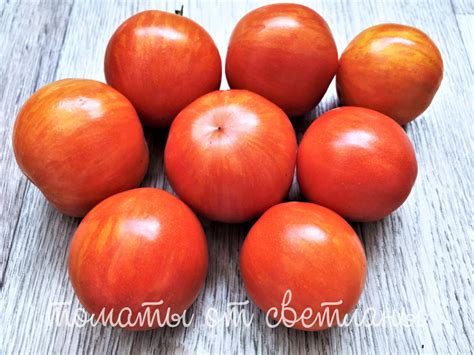Динс Бред Гейтс (ПРОЕКТ "DWARF TOMATO") - семена томатов