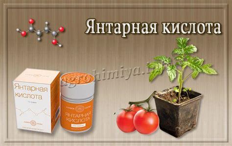 Янтарная кислота: инструкция, отзывы, для сада, огорода, цветов