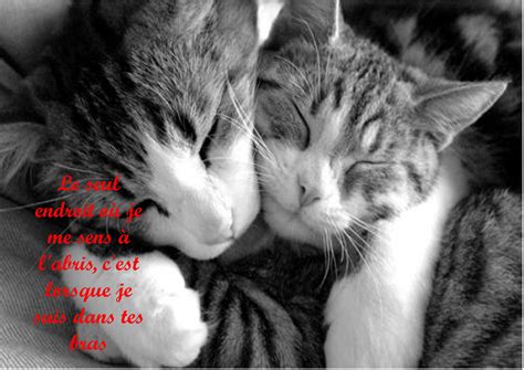Dans Tes Bras Assia Paroles 4