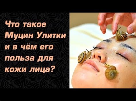 Слизь улитки (муцин) в косметике – что делают с улиткой для этого - YouTube