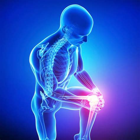 Osteoartritis Degenartiva – Blog Nutriline