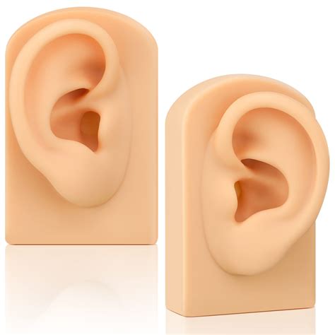 Buy 2 Pcs Silicone Ear Model, Left and Right Soft Flexible Model Fake